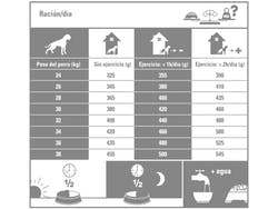 Boxer Adulto 12  Kg