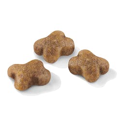 Kitten 400 Grs