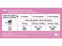 Kitten 400 Grs