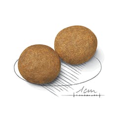 medium adult x 15kg