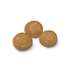 X-Small Adulto 1 Kg