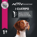 Eukanuba Adulto Medium Breed x 15 kg