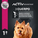 Eukanuba Adult Small Breed 1 KG