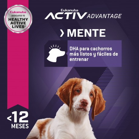 Eukanuba Puppy Medium Breed 1 KG