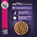 Eukanuba Puppy Medium Breed 1 KG