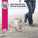Eukanuba Puppy Medium Breed 3 KG