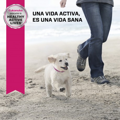 Eukanuba Puppy Small Breed 3 KG