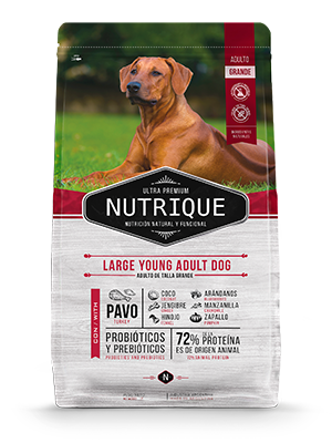 Nutrique Large Adult 6+ Dog x 15kg