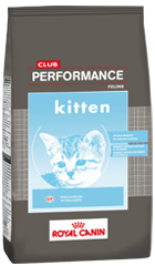 Club Performance Cat Kitten