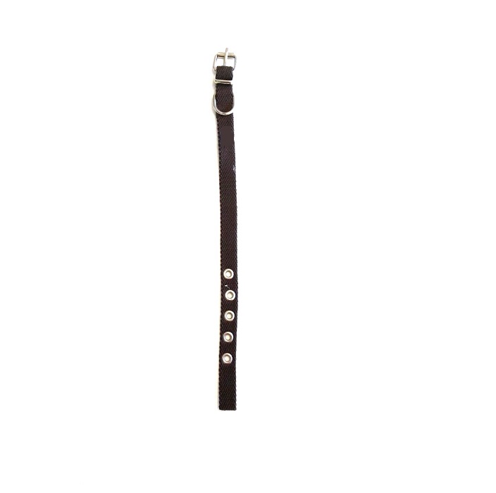 COLLAR 15MM X 33CM - FAMILY PETS
