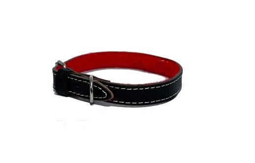 COLLAR DE CUERO CON FELPA Nº1 KIPPER