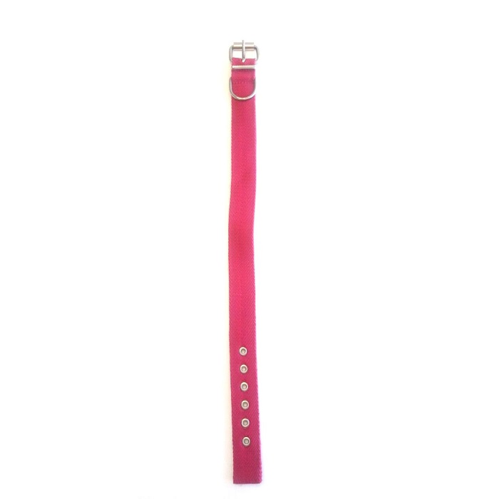 COLLAR DOBLE 30MM X 65CM - FAMILY PETS