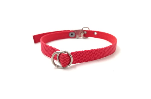 COLLAR GATO 36CMX10MM MISTER HUESO