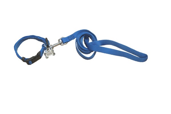 CONJ CORR/COLLAR LISO 15MM COL2 IMPORTADO