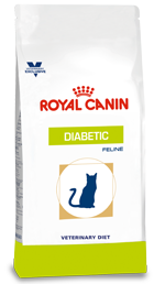 DIABETIC FELINE