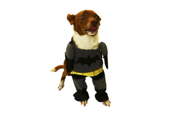 DISFRAZ BATMAN Nº2 30 CM.- PER-ROS
