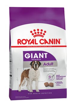 Giant Adult