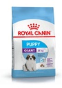 Giant Puppy