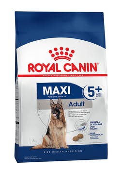 Maxi Adult 5+