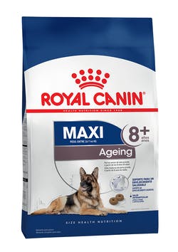 Maxi Ageing 8+