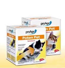 medicamentos poten pet para perros y gatos