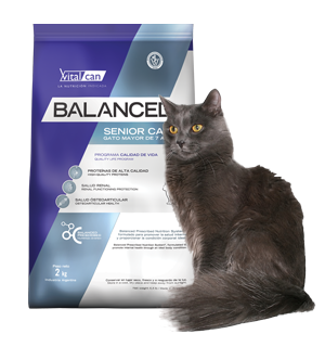 Balanced Gato Senior x 2 kg.