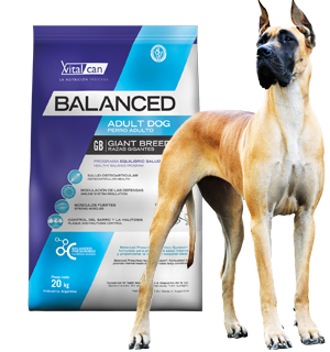 Balanced Perro Adulto Raza Gigante x 20 kg.