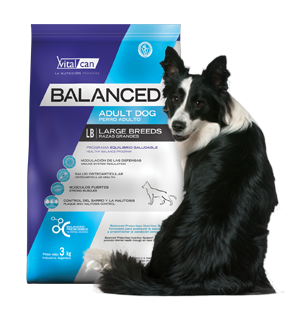 Vital Can Balanced Perro Adulto Raza Grande X 3 Kg.