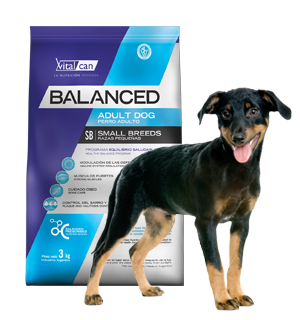 Balanced Perro Adulto Raza Pequeña x 7,5 kg.