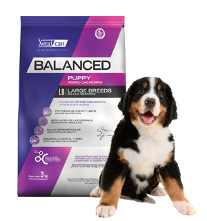 Balanced Perro Cachorro Raza Grande x 3 kg.