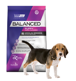 Balanced Perro Cachorro Raza Mediana x 20 kg.