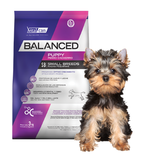 Balanced Perro Cachorro Raza Pequeña x 1 kg.