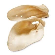 OREJAS MEDIANAS X 200 UNIDADES