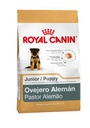 Ovejero Alemán Puppy