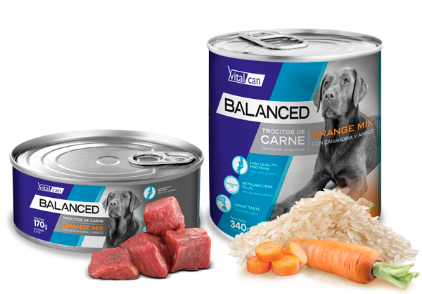 Vital Can Balanced Perro Orange Mix 170gr 