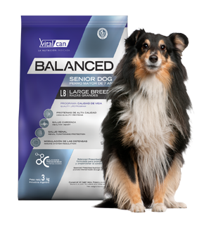 Balanced Perro Senior Raza Grande x 3 kg.