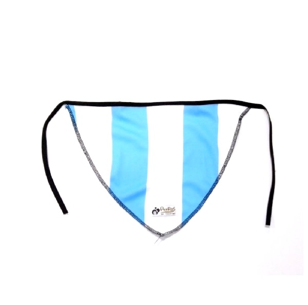 PAÑUELO ARGENTINA CHICO
