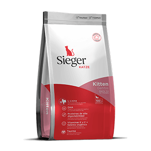 Sieger Katze Kitten x 10 kg