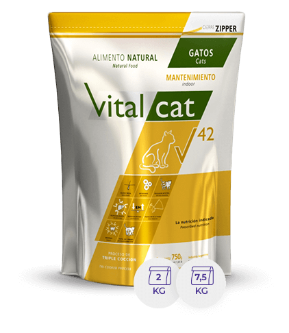 Vital Can V42 Doypack Indoor X 2 Kg.
