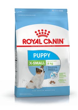 X- Small Puppy