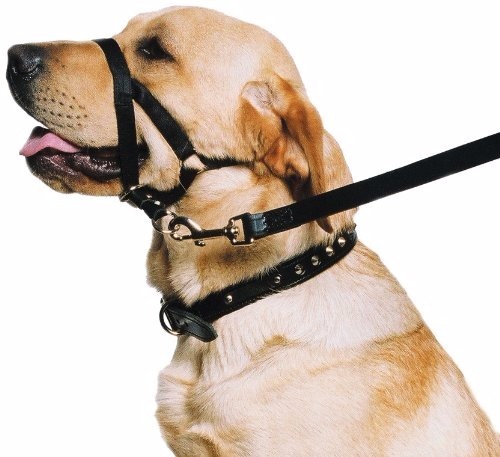BOZAL HALTI DE ENTRENAMIENTO MEDIANO - FAMILY PETS