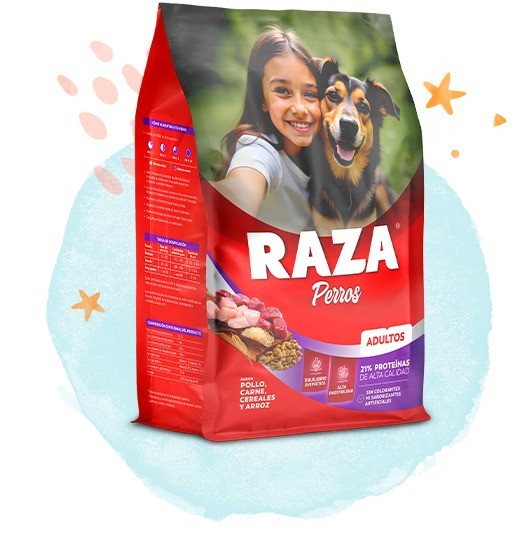 PERROS ADULTOS CARNE 21 KG  - RAZA