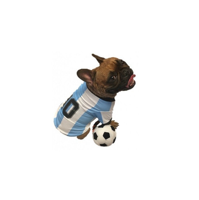 CAMISETA DE ARGENTINA Nº1 25 CM. - PER-ROS