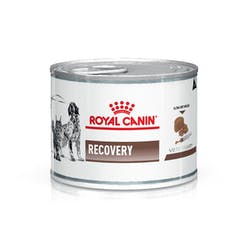 RECOVERY              Lata (12x195g)
