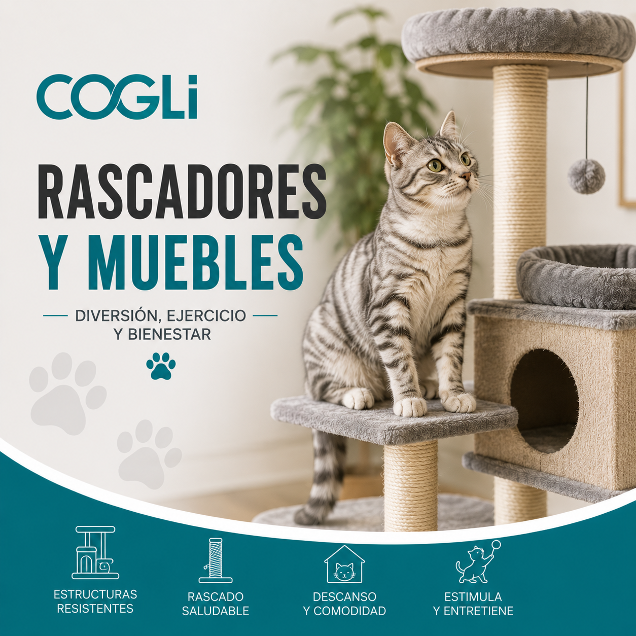 RASCADORES / MUEBLES