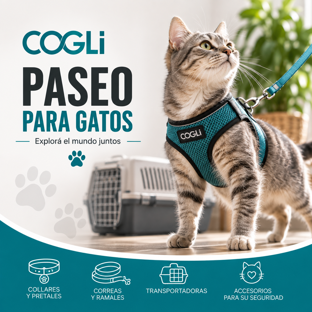 PASEO