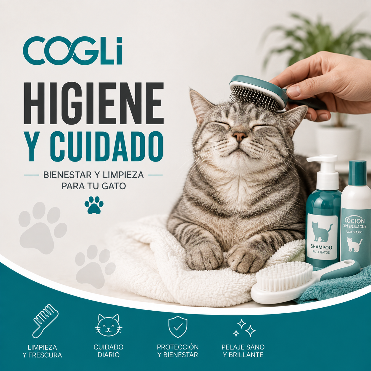 HIGIENE Y CUIDADO