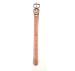 [290027] COLLAR CUERO GRABADO 2.5CM X 35CM - DM