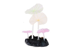 [132076] CORAL GLOW  AQ1071 - IMPORTADO