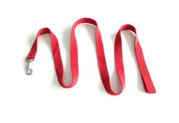 [622320] CORREA NYLON ANCHA 150X3CM MISTER HUESO